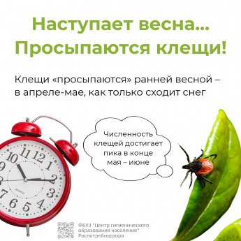 О профилактике инфекций, передающихся иксодовыми клещами