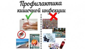 Профилактика  острых кишечных заболеваний.
