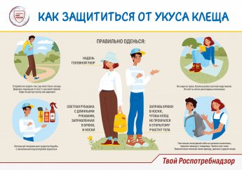 Осторожно, клещи!