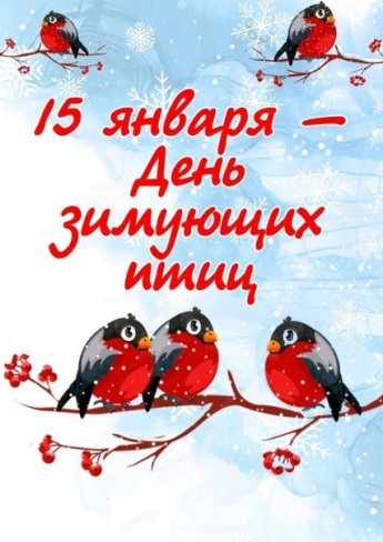 Всероссийский день зимующих птиц