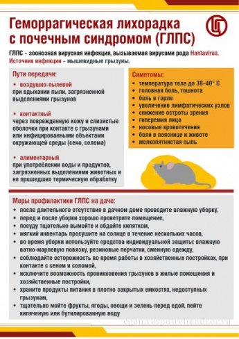 Профилактика геморрагической лихорадки с почечным синдромом.