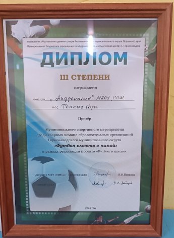 Футбол вместе с папой!