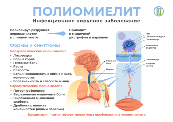 Полиомиелит – что это за болезнь