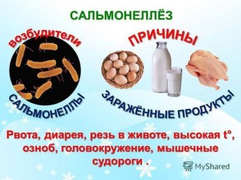Профилактика сальмонеллеза