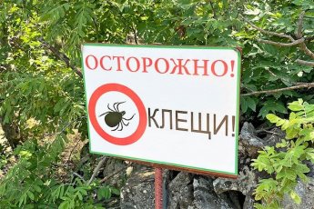 Профилактика инфекций, передающихся клещами
